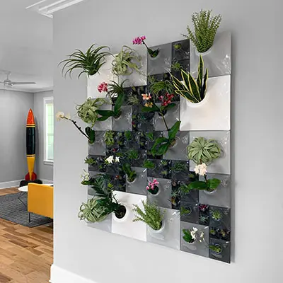 Творчески идеи за декориране на стени у дома - растение