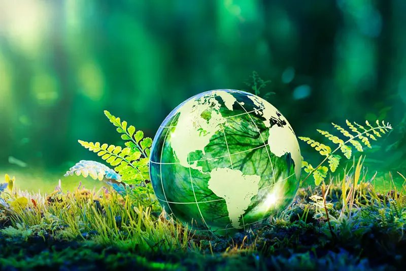 10 практични съвета за природосъобразен начин на живот за по-зелено бъдеще